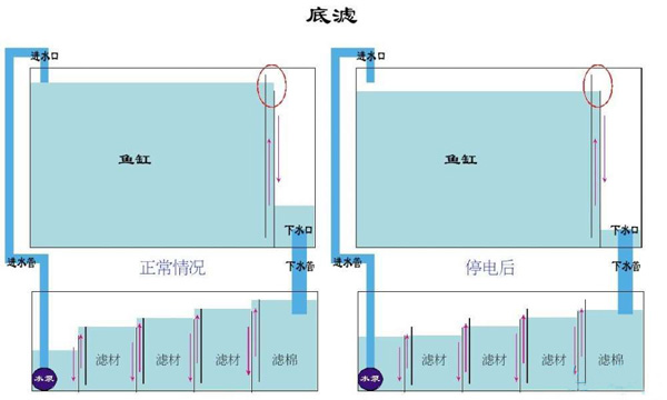 鱼缸溢流