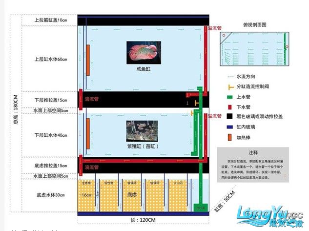 那位大侠能帮忙设计一个双层底虑组缸吗