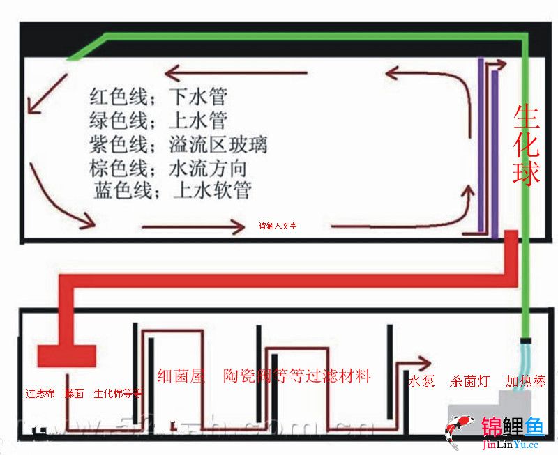 发个底滤缸的底滤图 希望能给您一点帮助