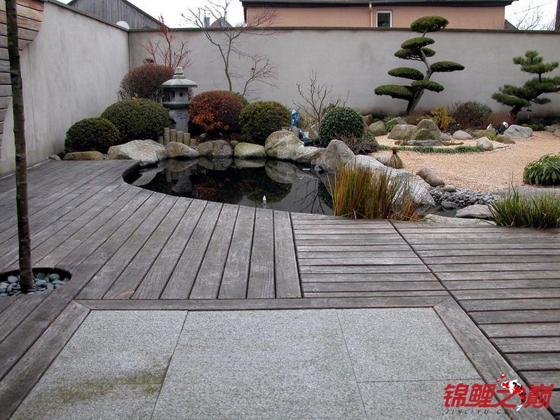 美丽的日本庭院锦鲤池 - 鱼缸鱼池 - 龙巅锦鲤鱼