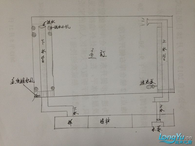 鱼缸大便堆积,剩难处理,配鱼缸简易草图.求助!