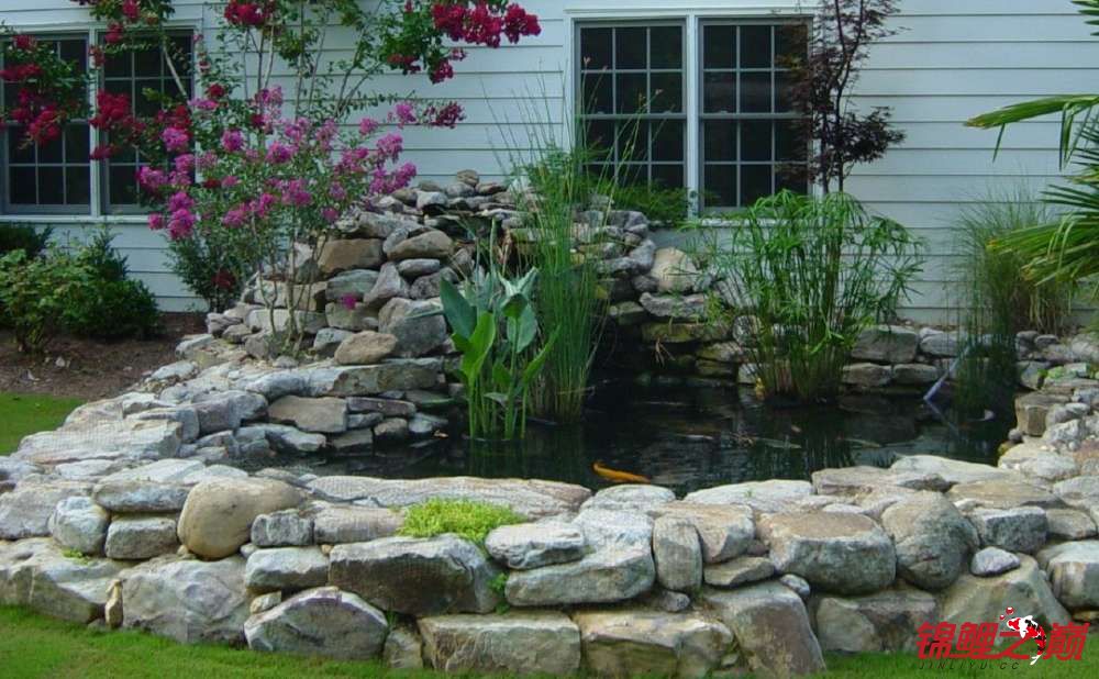 院子里建鱼池的全过程