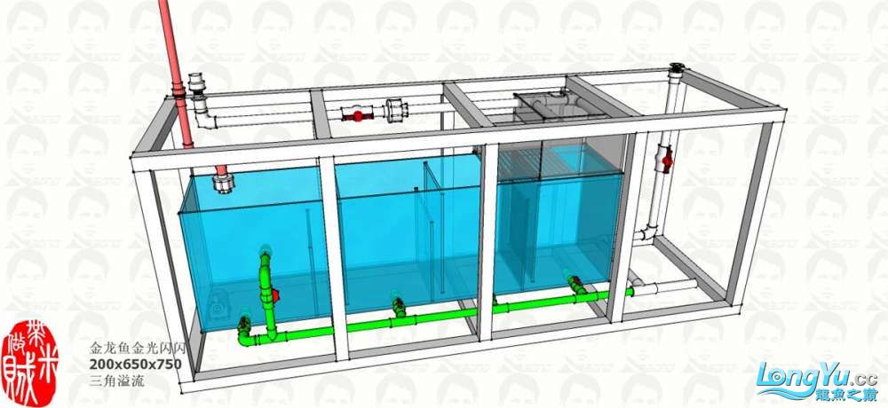鱼友【金龙鱼金光闪闪】的200*65*75底滤缸设计图