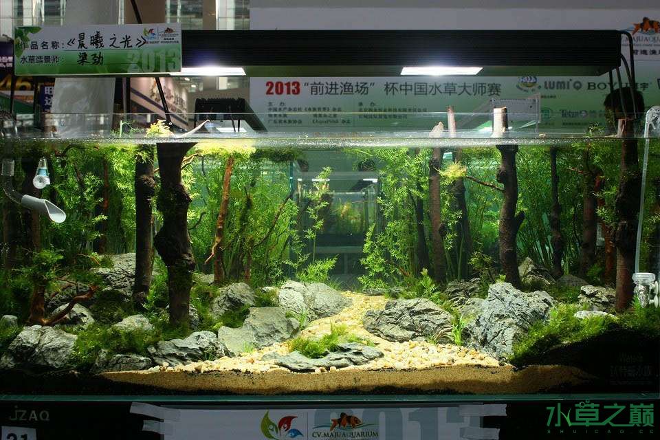 2013前进渔场杯水草大师赛120缸组和60缸组 - 水草造景 - 龙巅水草