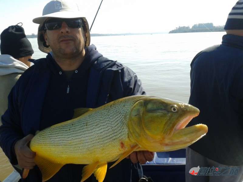 pesca-dorados_concordia_cacho-toller-7.jpg