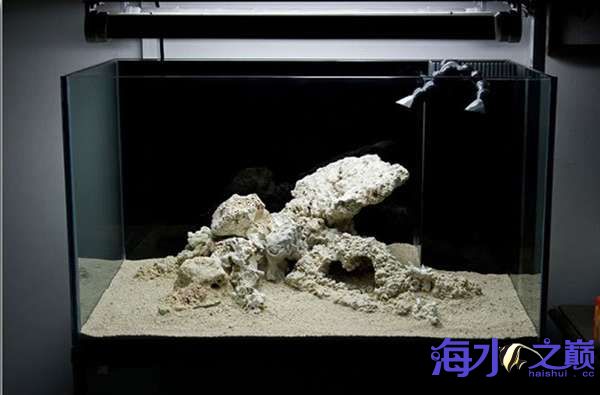 从活石堆到海水缸造景