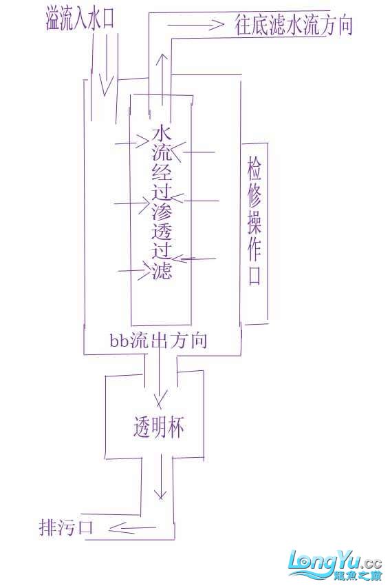 自制鱼便分离器,效果特好