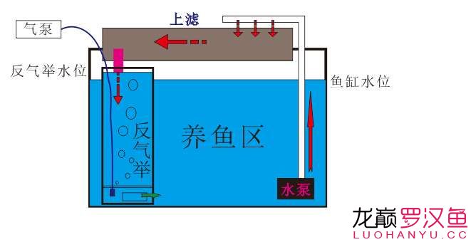 缸外反气举