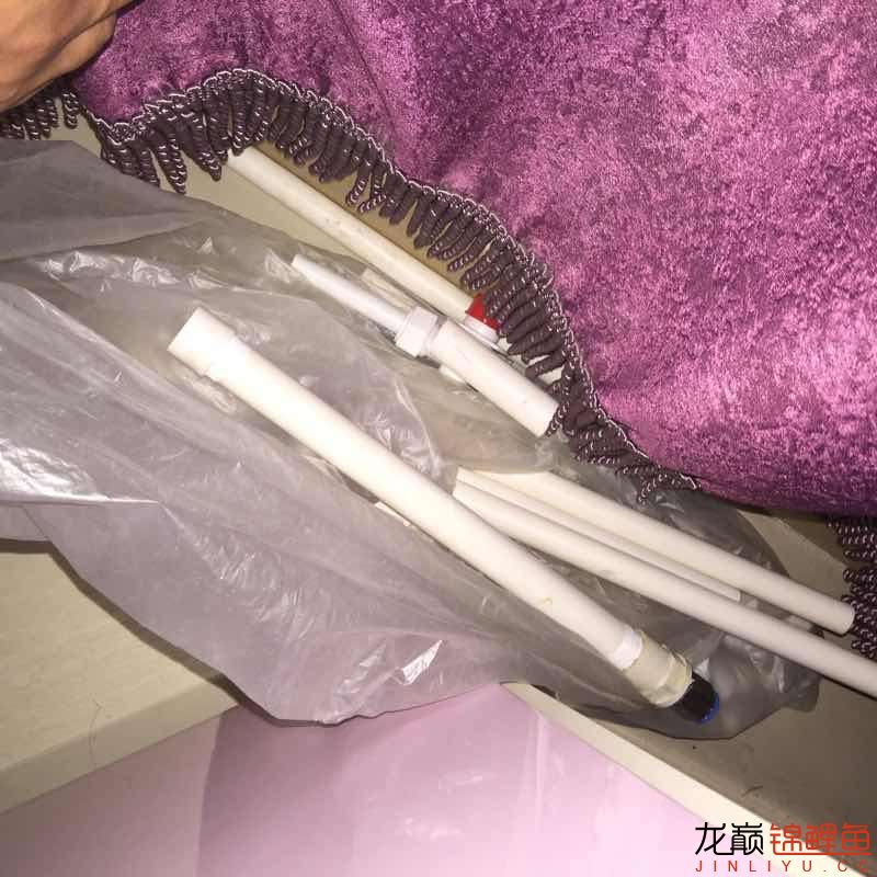 昨晚驚嚇不小啊 海象魚(yú) 第5張