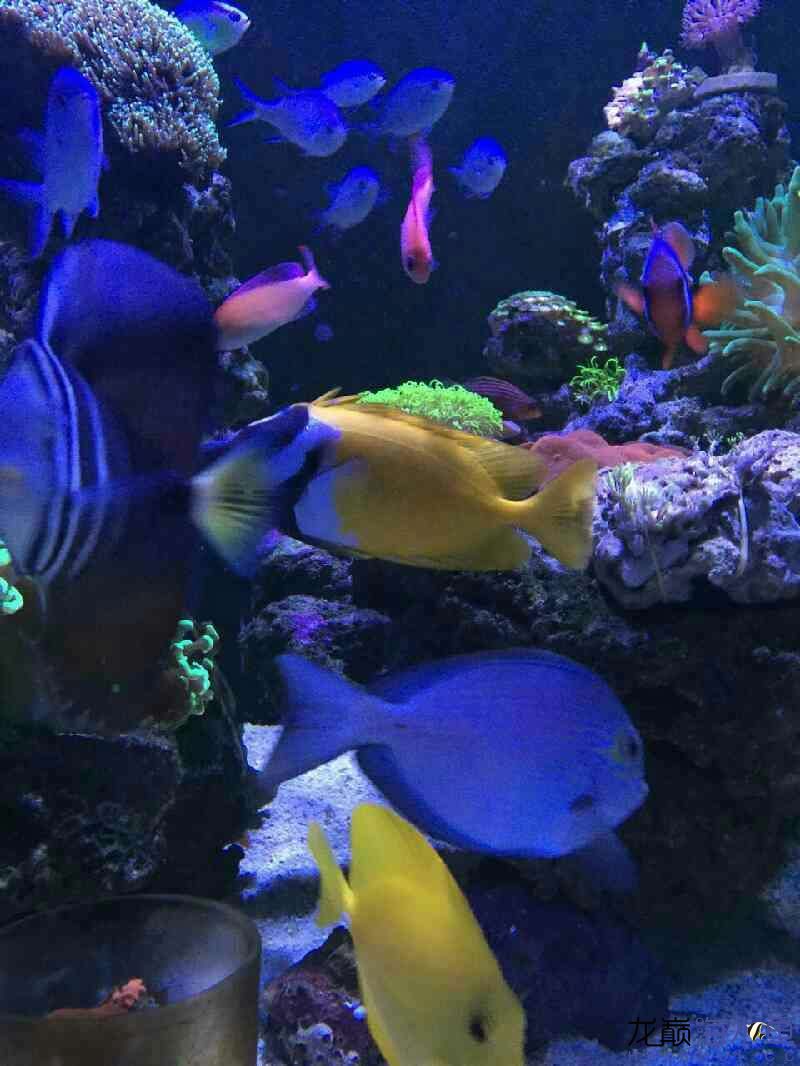 廊坊水族馆好久没有照片