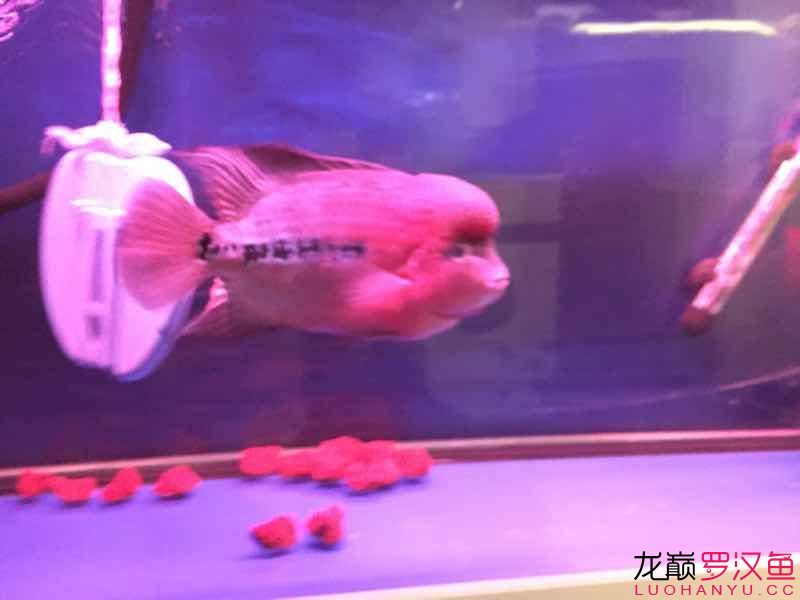 南平水族馆便宜幻彩