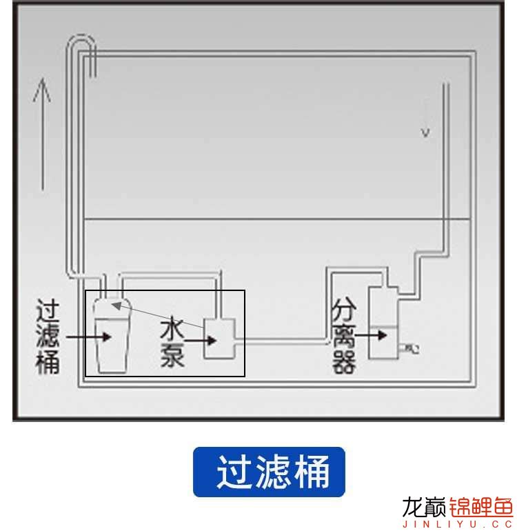 鱼便分离器.jpg