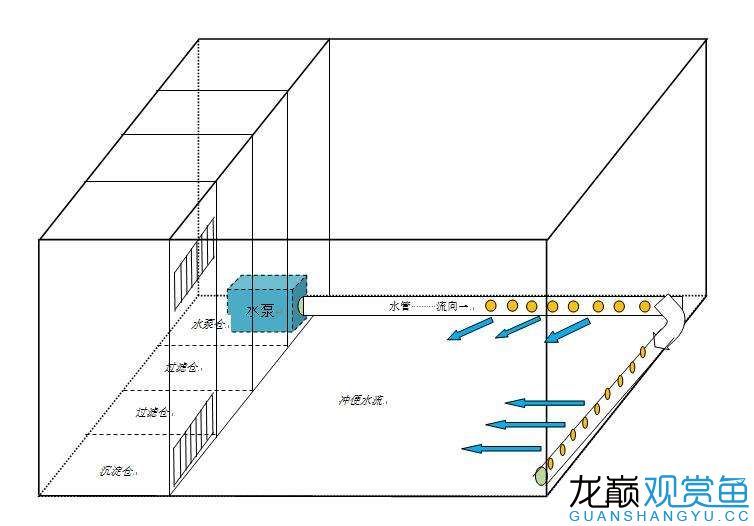 新设计的背滤缸,求指正