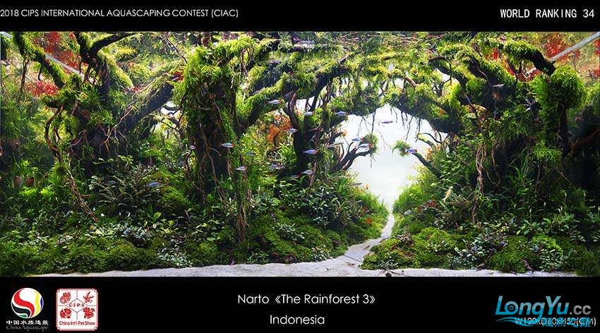 34-Narto Indonesia.jpg