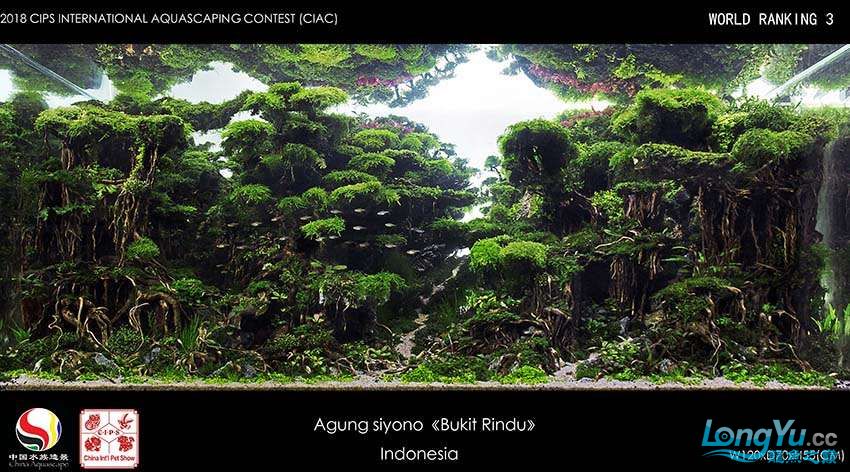 3-Agung siyono Indonesia.jpg