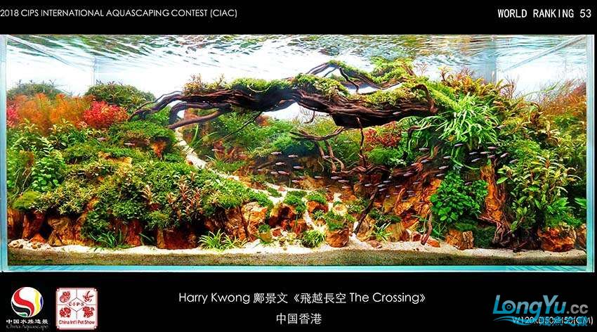 53-Harry Kwong 鄺景文 中国香港.jpg