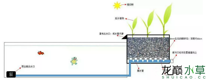 用网格板架空优于雨淋管直接铺石子,从出水均匀的角度)   沼泽过滤的