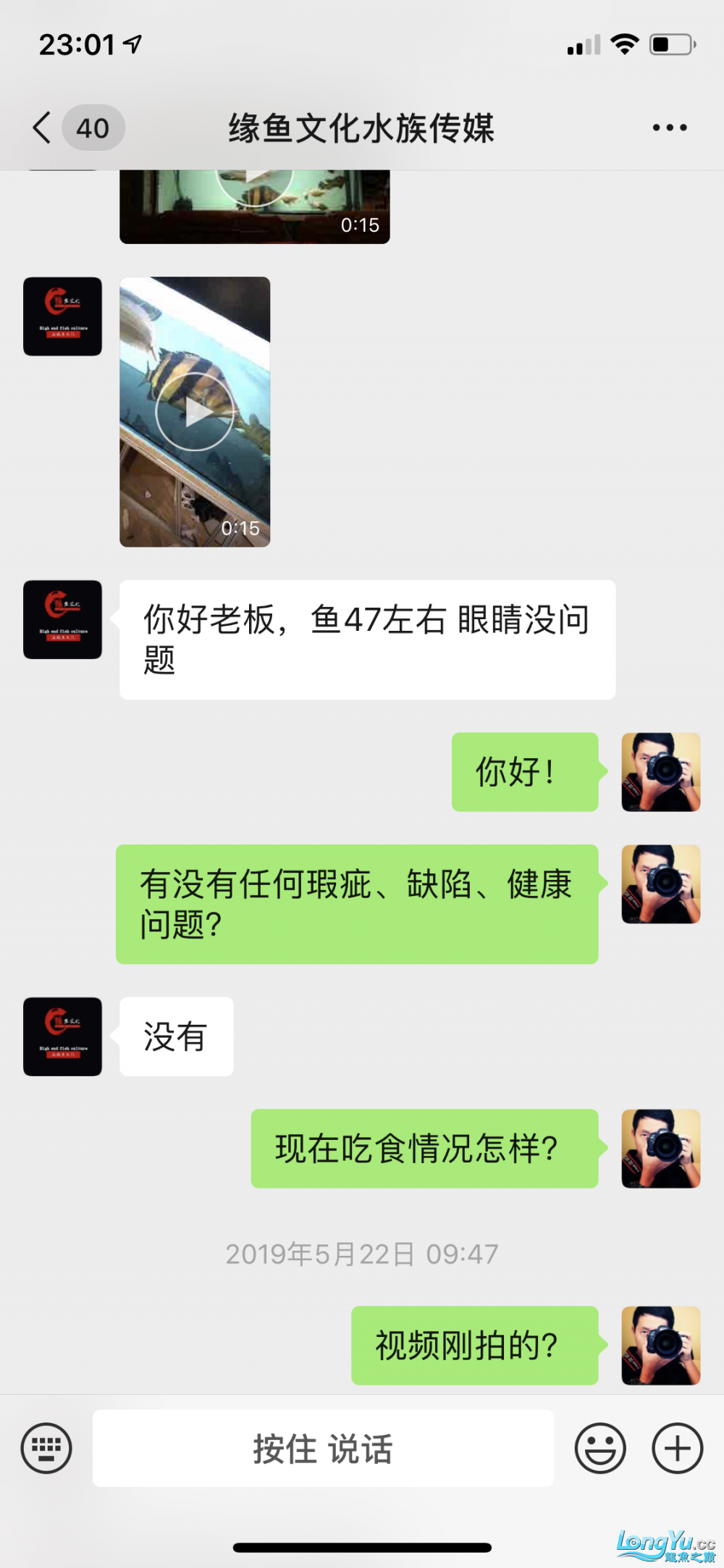 这个虎鱼眼睛有问题吗？请大家来评评理 虎鱼百科 第3张