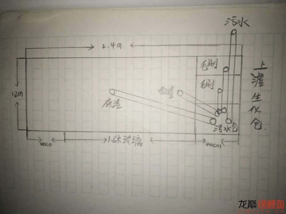 4吨的水体侧滤加上滤需要多大的泵？ 新加坡号半红龙鱼（练手级红龙鱼） 第1张