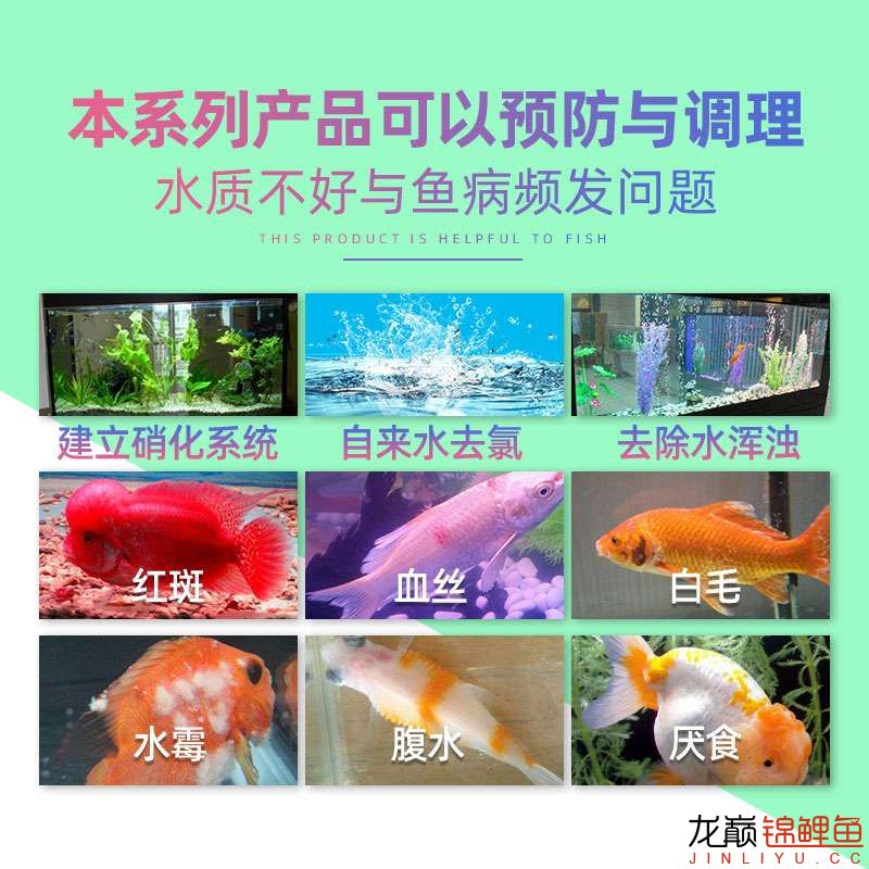 今天看看有哪些常见的鱼病？ 龙鱼疾病与治疗