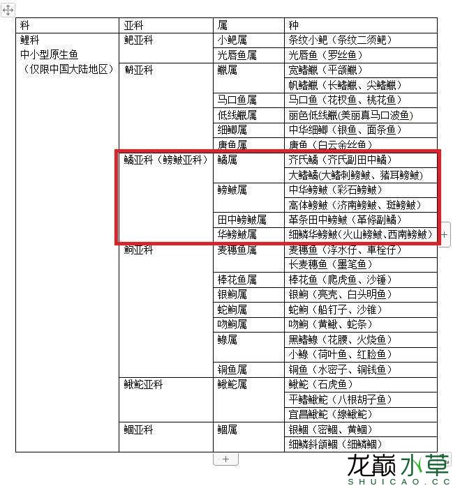 孝感水族馆大陆原生造景常用鱼之鲤科鱊亚科篇鳑鲏亚科 肥料 第1张