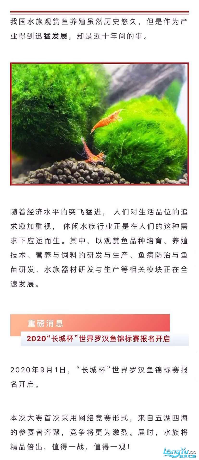 本溪觀賞魚(yú)市場(chǎng)深耕行業(yè)24年全球水族行業(yè)的重要貿(mào)易平臺(tái)—CIPS長(zhǎng)城水族