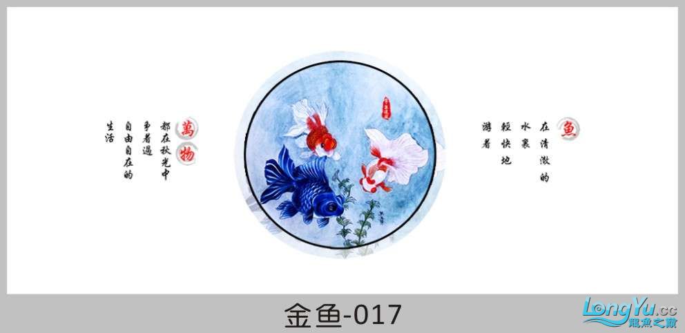 一組漂亮的金魚背景貼紙欣賞 其他益生菌 第17張