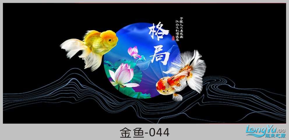 一组漂亮的金鱼背景贴纸欣赏 其他益生菌 第44张