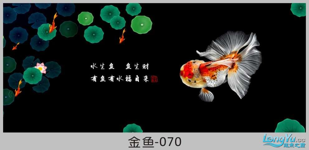 一組漂亮的金魚背景貼紙欣賞 其他益生菌 第70張