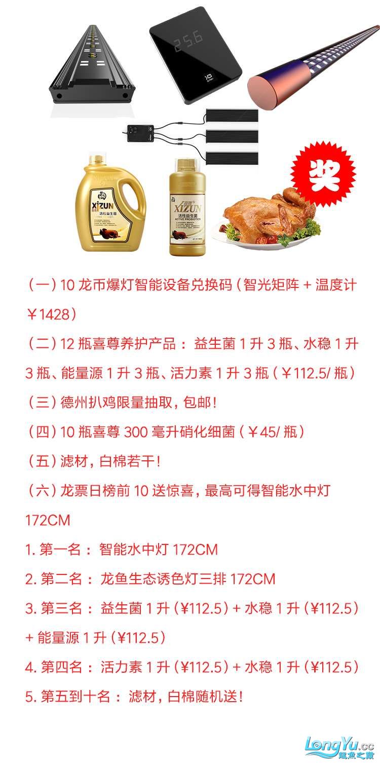 10龙币爆灯智能设备兑换码新款智光矩阵+温度计¥1428 水族灯（鱼缸灯） 第3张