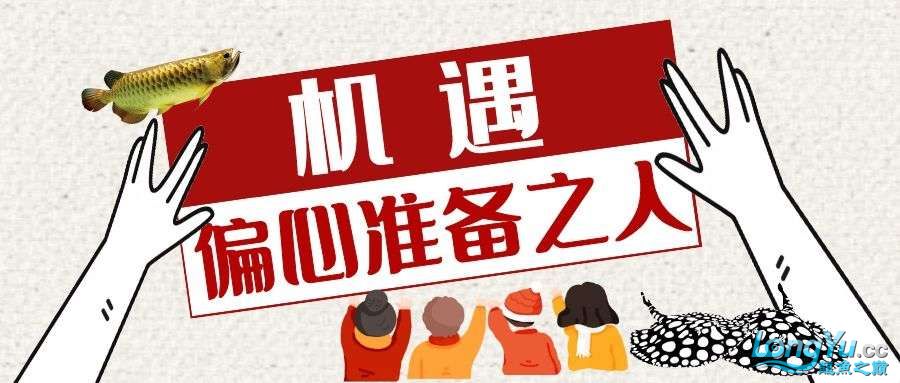 全国人气门店评选双管齐下燃爆寒冬 全国水族馆企业名录 第2张