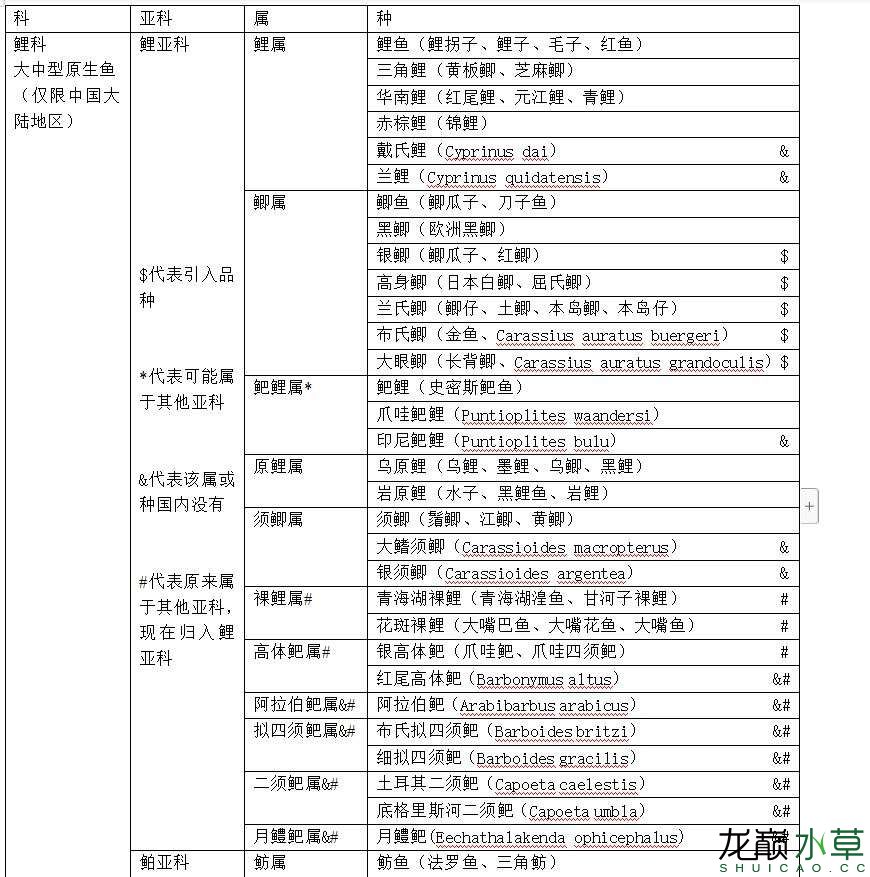 大陆地区鲤科原生鱼之鲤亚科篇