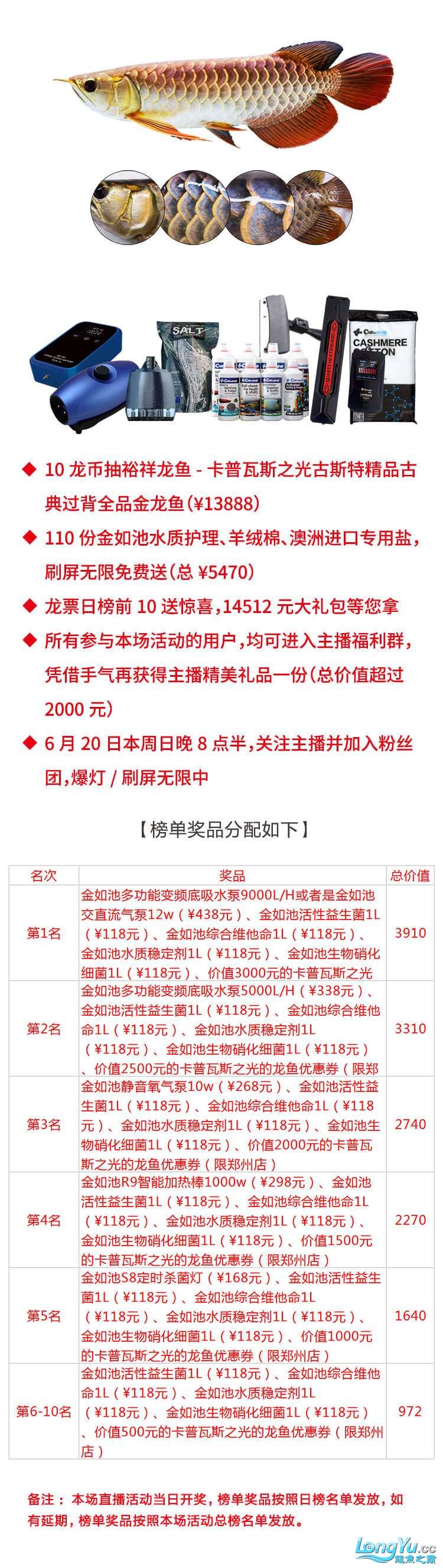 10龙币爆灯卡普瓦斯之光古斯特精品古典过背￥13888 水族灯（鱼缸灯） 第3张