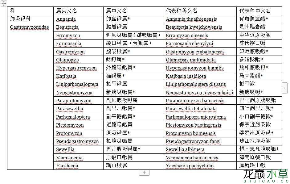 南昌水族馆腹吸鳅科爬岩鳅属鱼类汇总