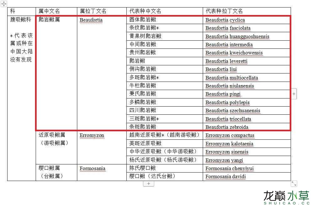 南昌水族馆腹吸鳅科爬岩鳅属鱼类汇总 广州水族器材滤材批发市场 第4张