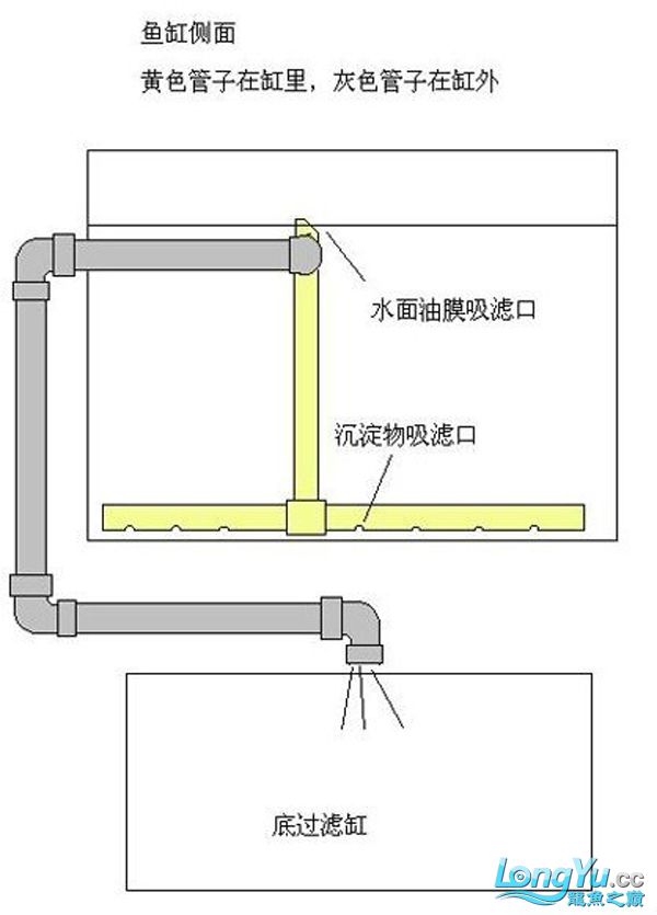 底滤- 底滤 - 过滤系统 - 鱼缸 - 观赏鱼百科